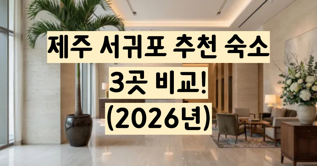 제주 서귀포 숙소 추천 롯데호텔 블룸호텔 더큐브 비교