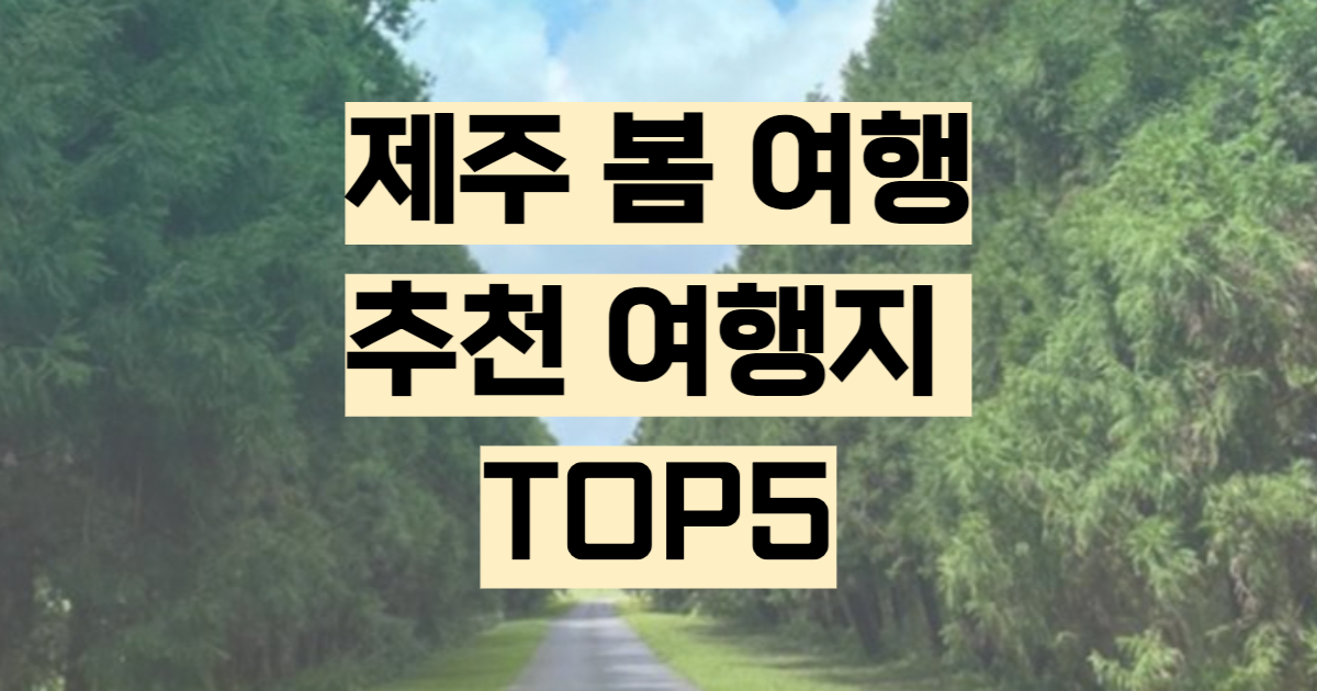 제주 봄 여행 유채꽃 벚꽃 수선화 명소 TOP 5