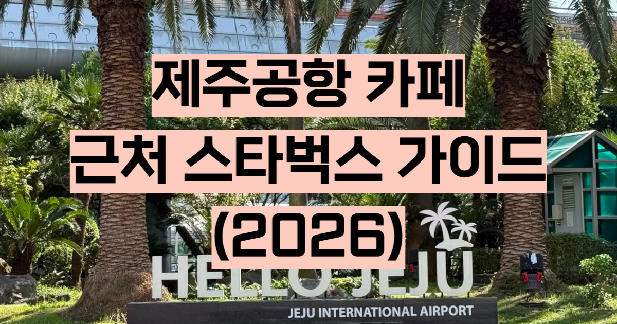 제주공항 카페 여객터미널 커피베이 근처 오션뷰 완벽 가이드 2026