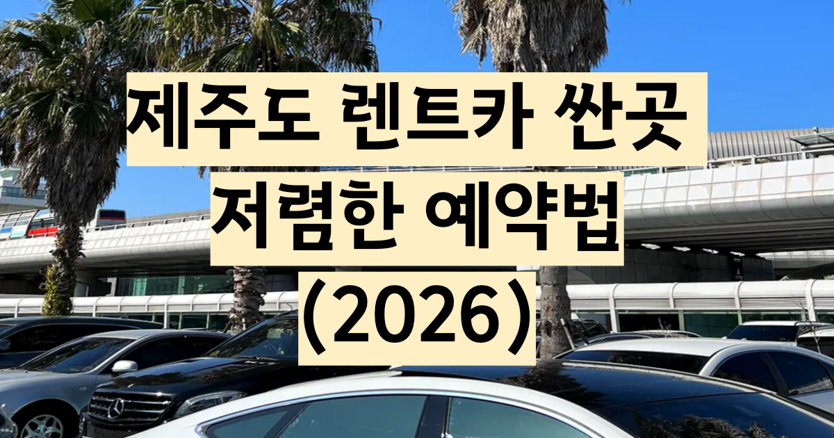 제주도 렌트카 싼곳 TOP 5 성수기 저렴한 예약법 2026