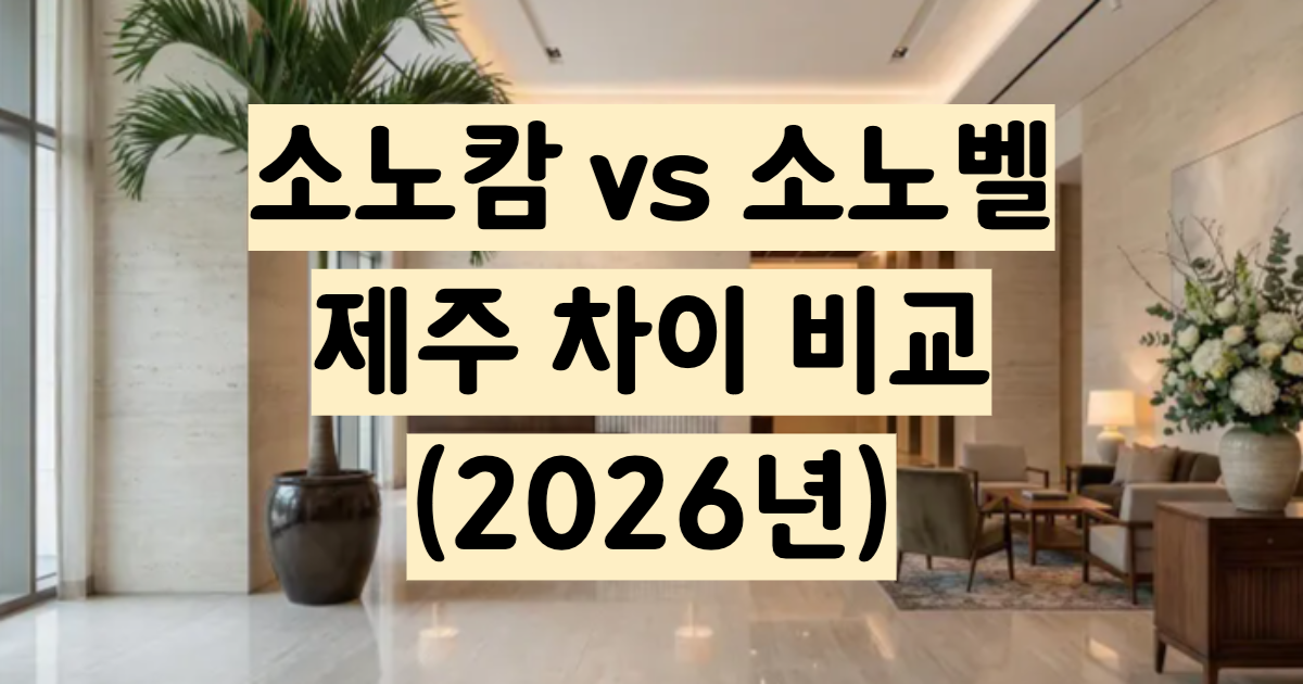 소노캄 소노벨 차이 함덕 표선 등급 완벽 비교 2026
